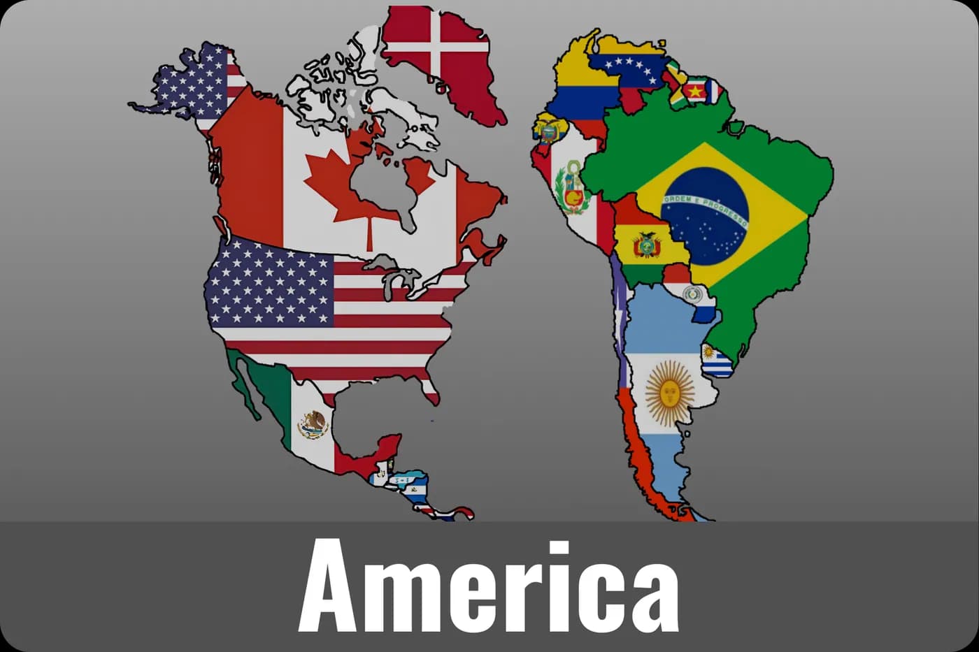 America phone cases